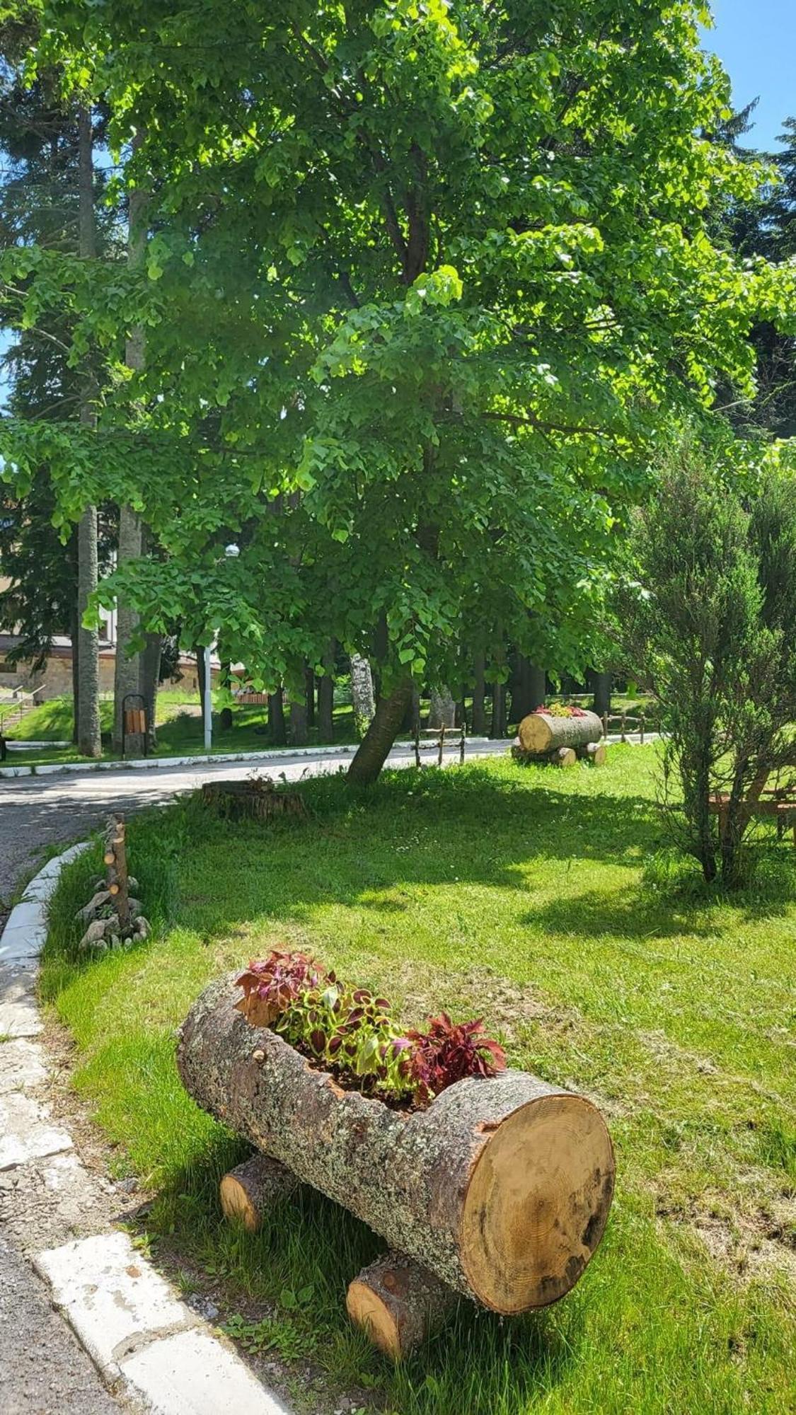 Pm Services Borovets Garden Apartments Eksteriør billede