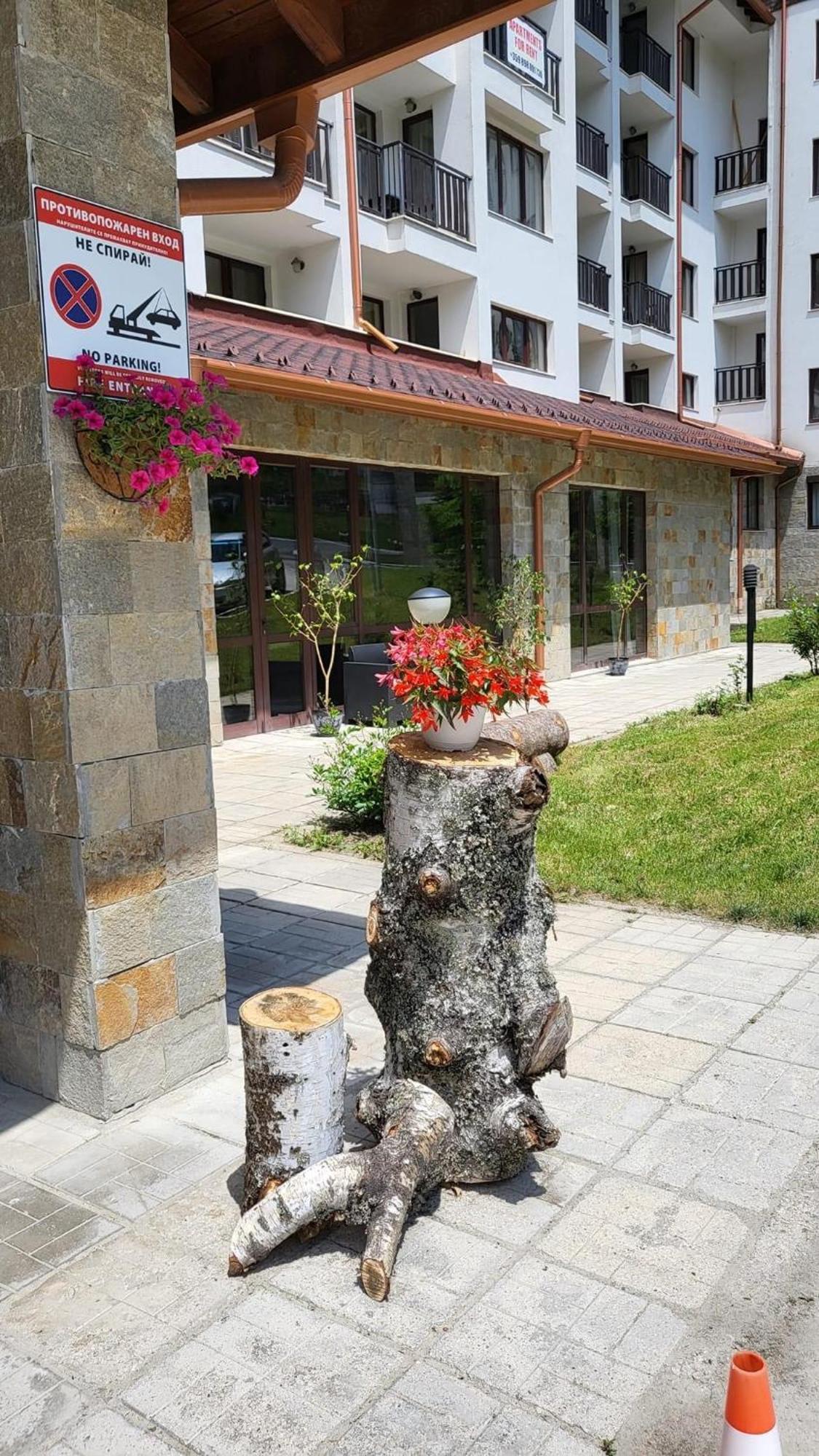 Pm Services Borovets Garden Apartments Eksteriør billede